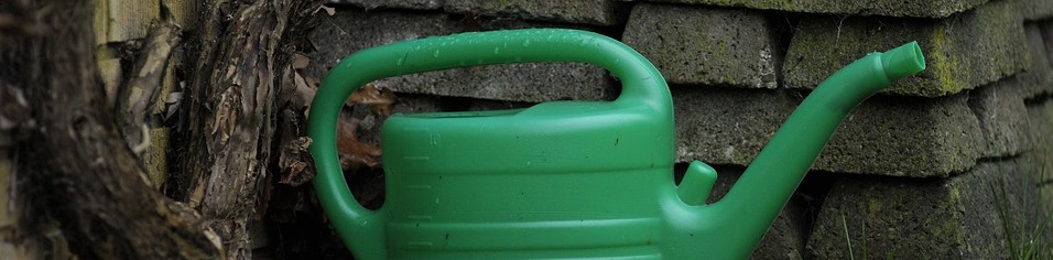 ahorrar agua y ahorrar dinero